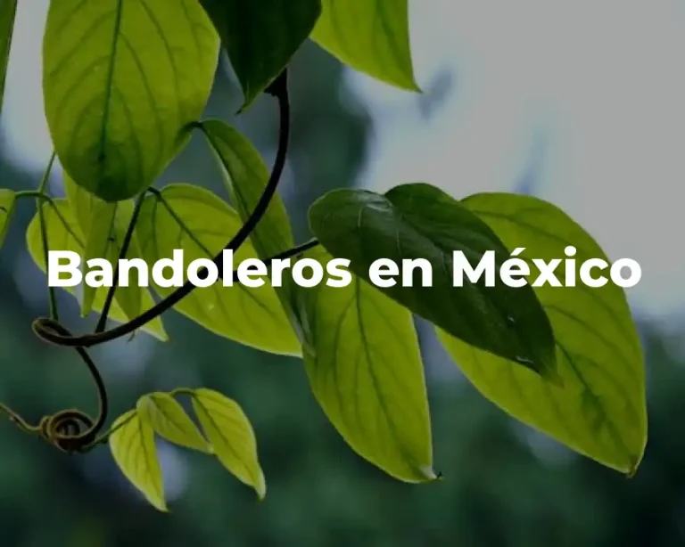 Bandoleros en México