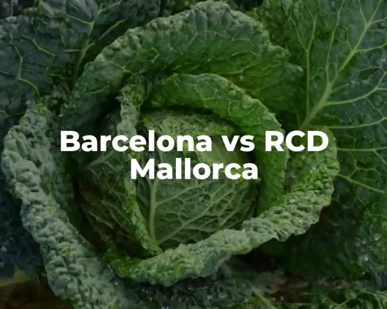 Barcelona vs RCD Mallorca