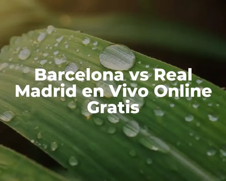Barcelona vs Real Madrid en Vivo Online Gratis