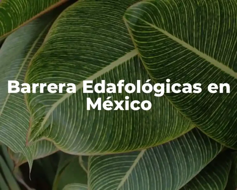 Barrera Edafológicas en México
