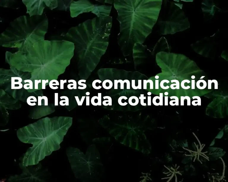 Barreras comunicación en la vida cotidiana