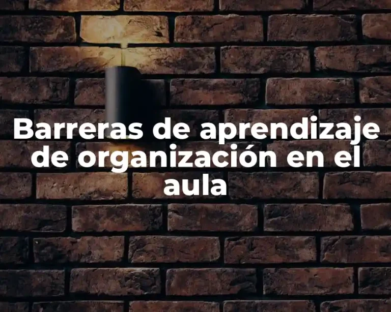 Barreras de aprendizaje de organización en el aula
