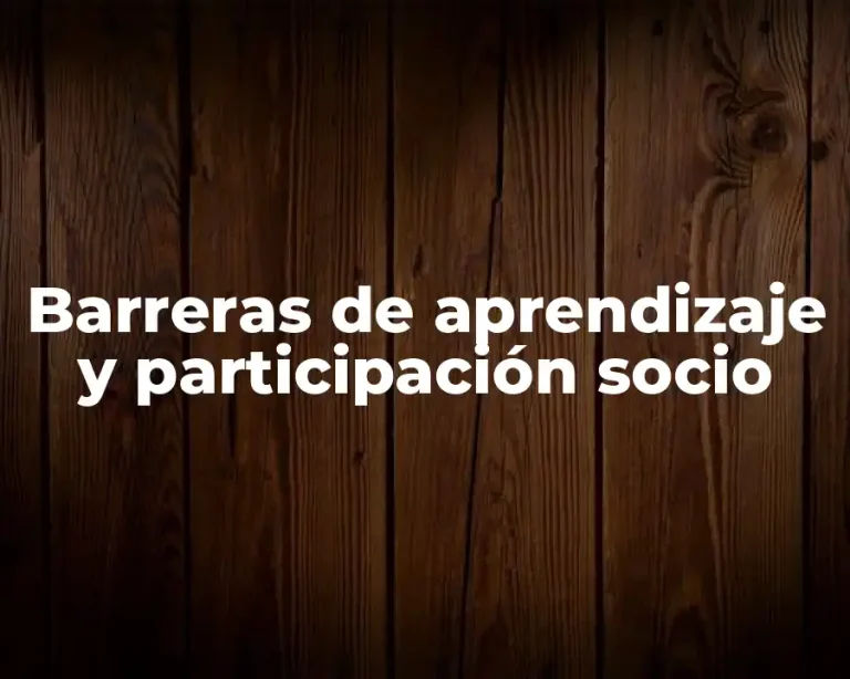 Barreras de aprendizaje y participación socio