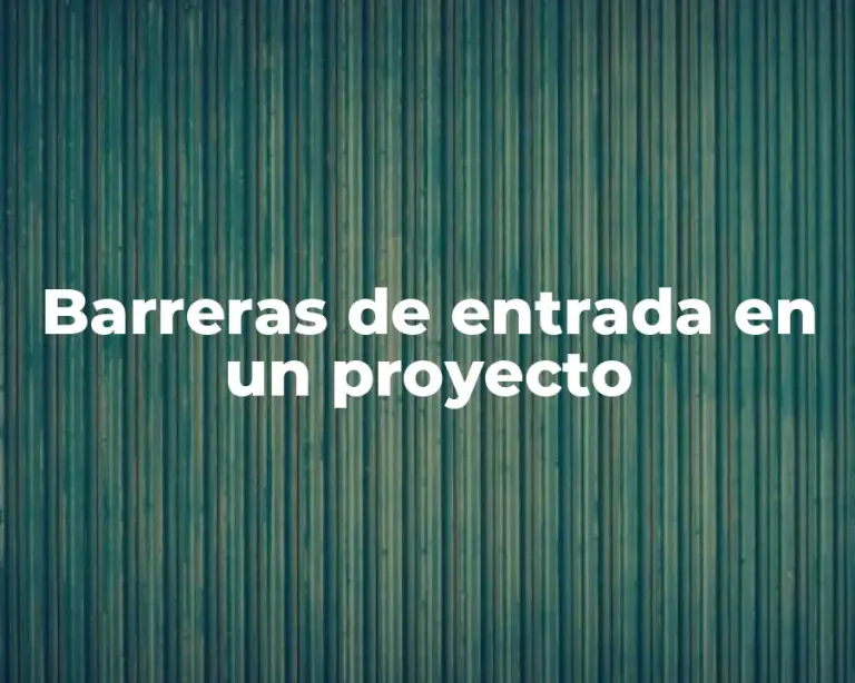 Barreras de entrada en un proyecto