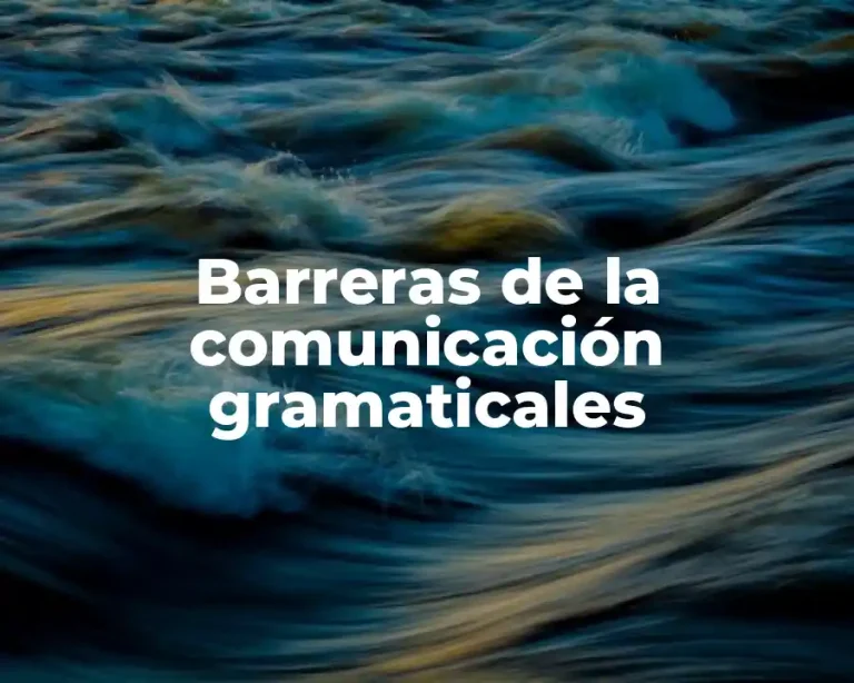Barreras de la comunicación gramaticales