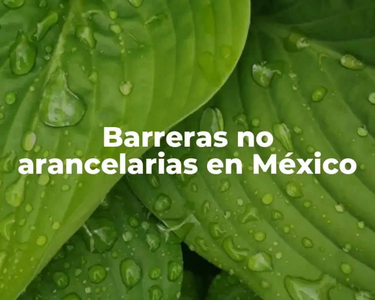 Barreras no arancelarias en México