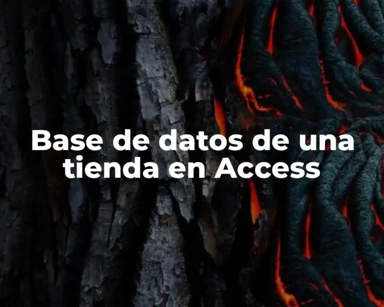 Base de datos de una tienda en Access