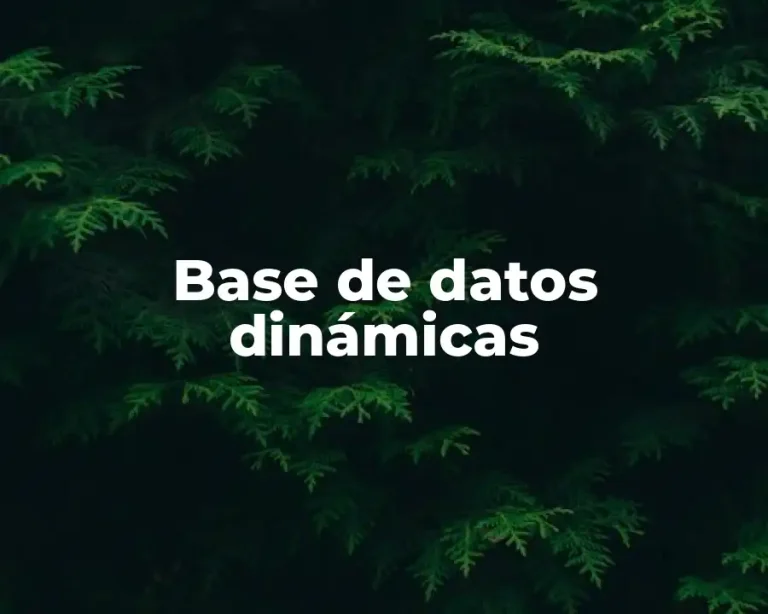 Base de datos dinámicas