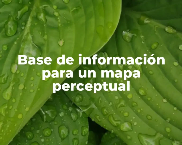 Base de información para un mapa perceptual