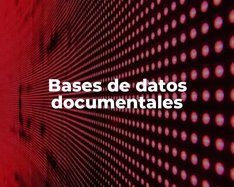 Bases de datos documentales