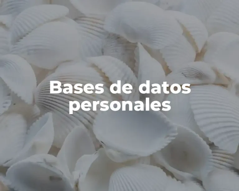 Bases de datos personales