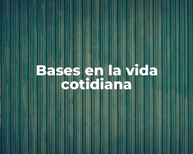 Bases en la vida cotidiana