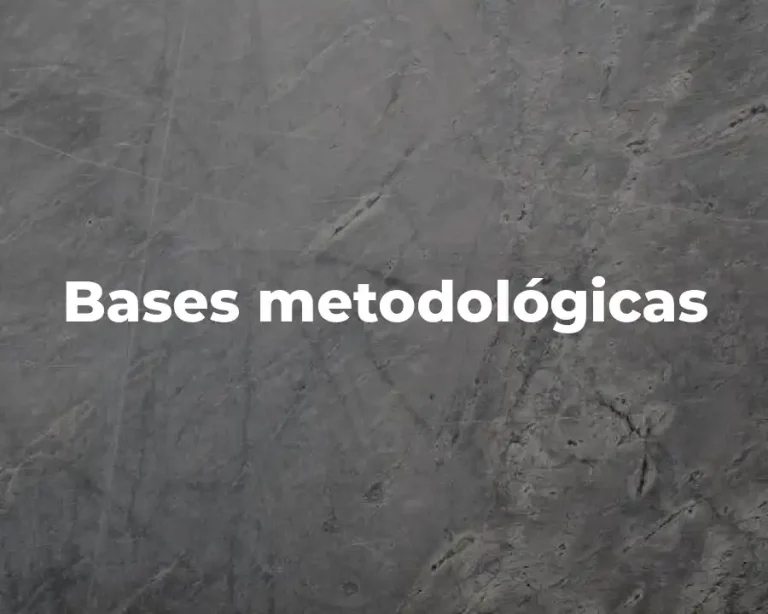 Bases metodológicas