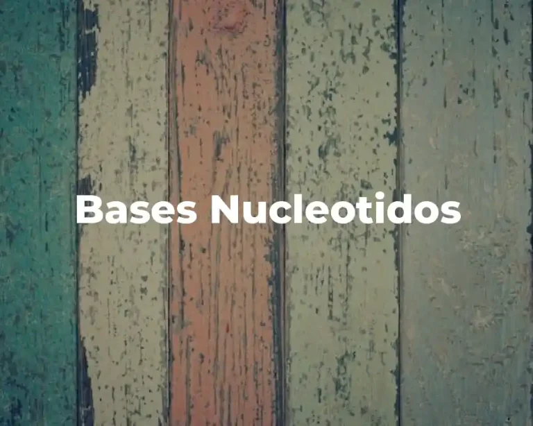 Bases Nucleotidos