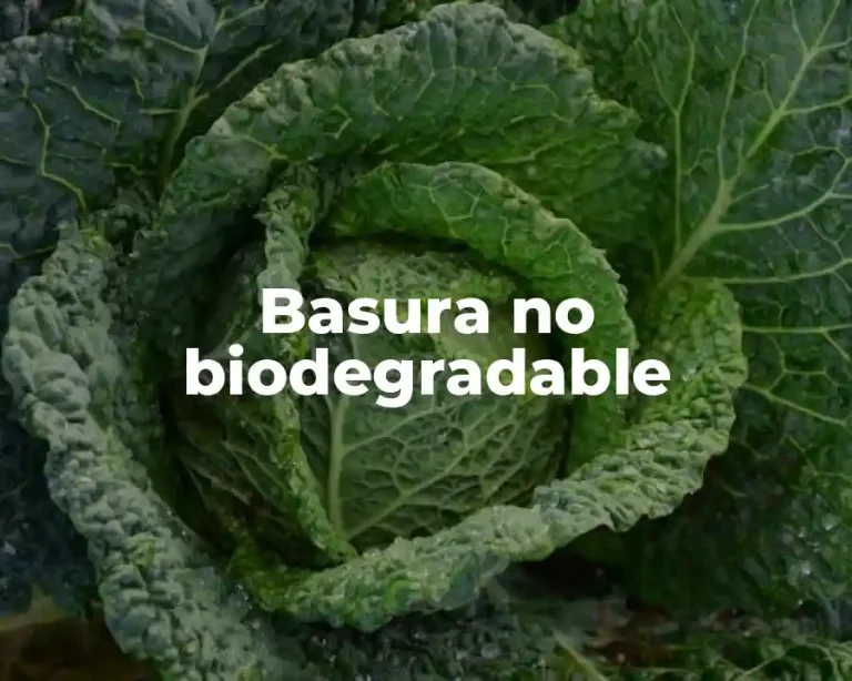 Basura no biodegradable