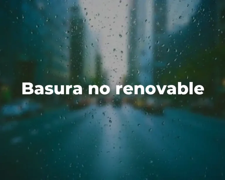 Basura no renovable