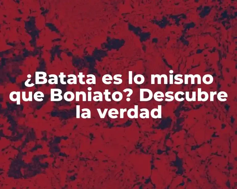 ¿Batata es lo mismo que Boniato? Descubre la verdad