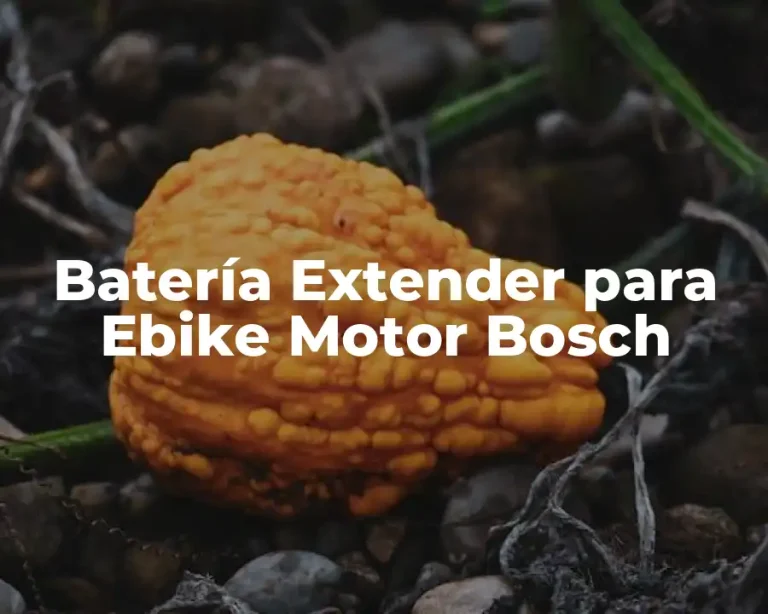 Batería Extender para Ebike Motor Bosch