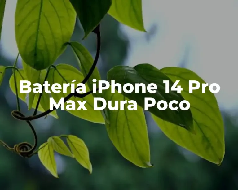 Batería iPhone 14 Pro Max Dura Poco