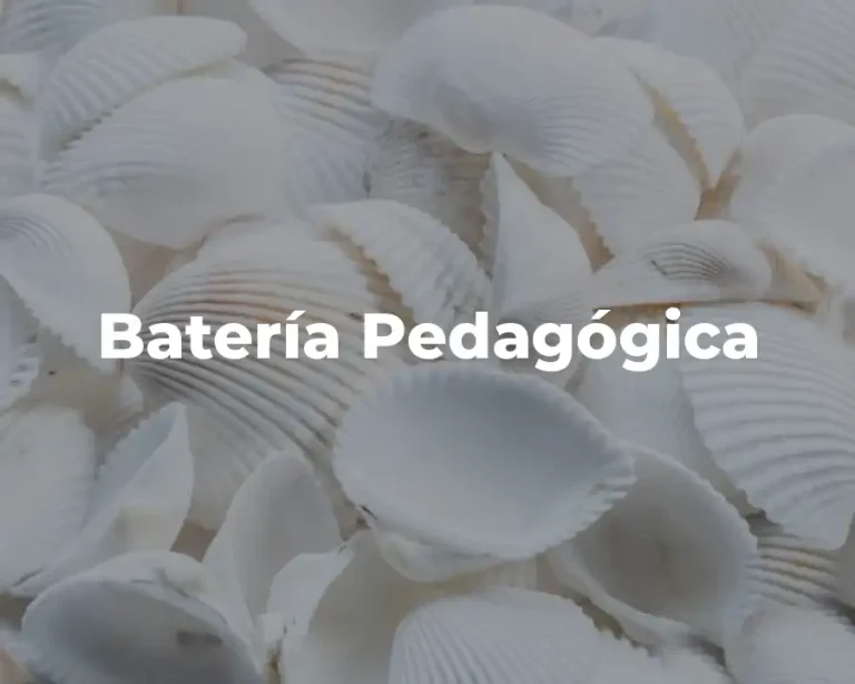 Batería Pedagógica