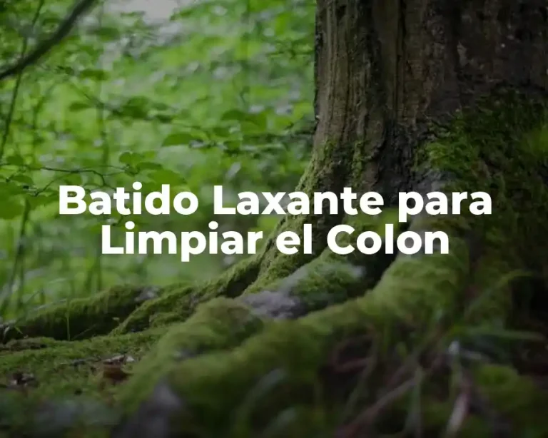 Batido Laxante para Limpiar el Colon