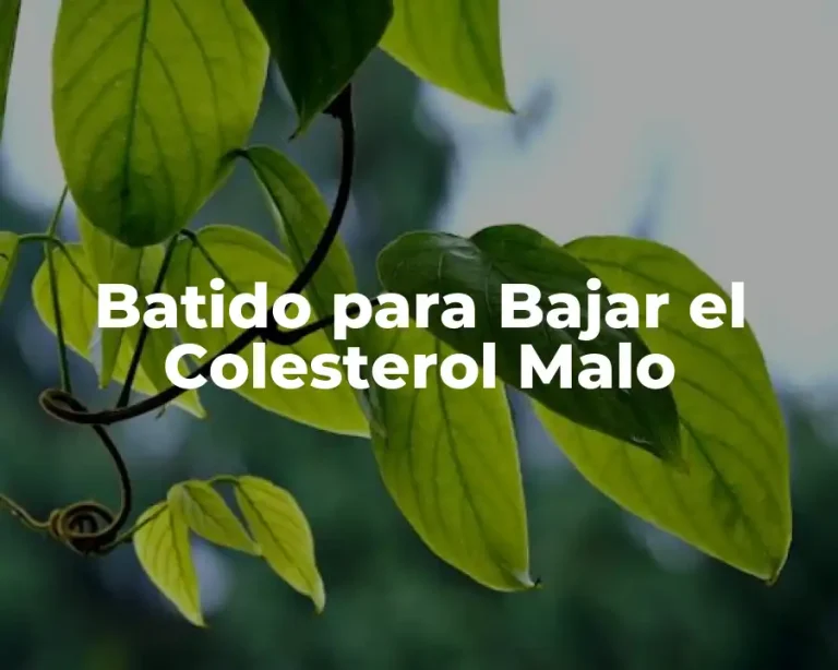 Batido para Bajar el Colesterol Malo