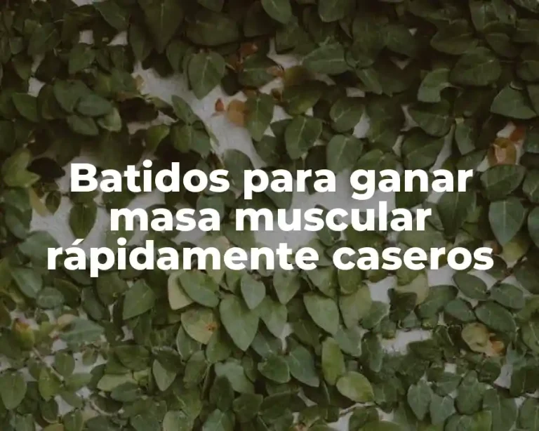 Batidos para ganar masa muscular rápidamente caseros