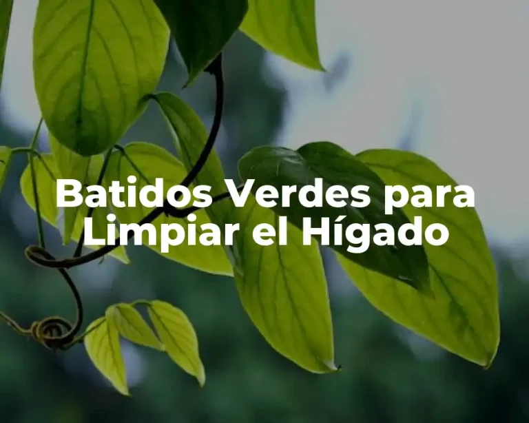 Batidos Verdes para Limpiar el Hígado
