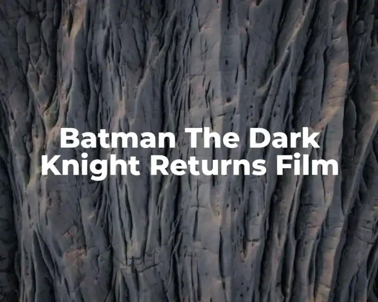 Batman The Dark Knight Returns Film