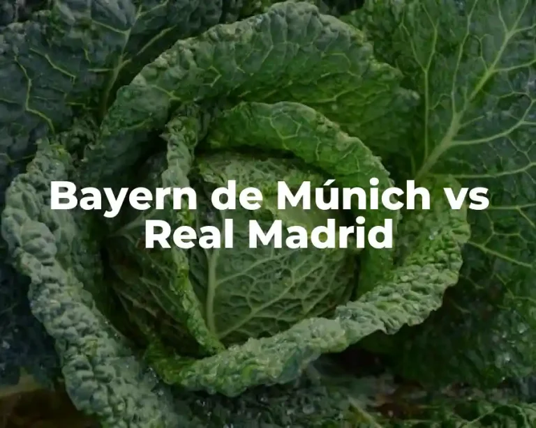 Bayern de Múnich vs Real Madrid