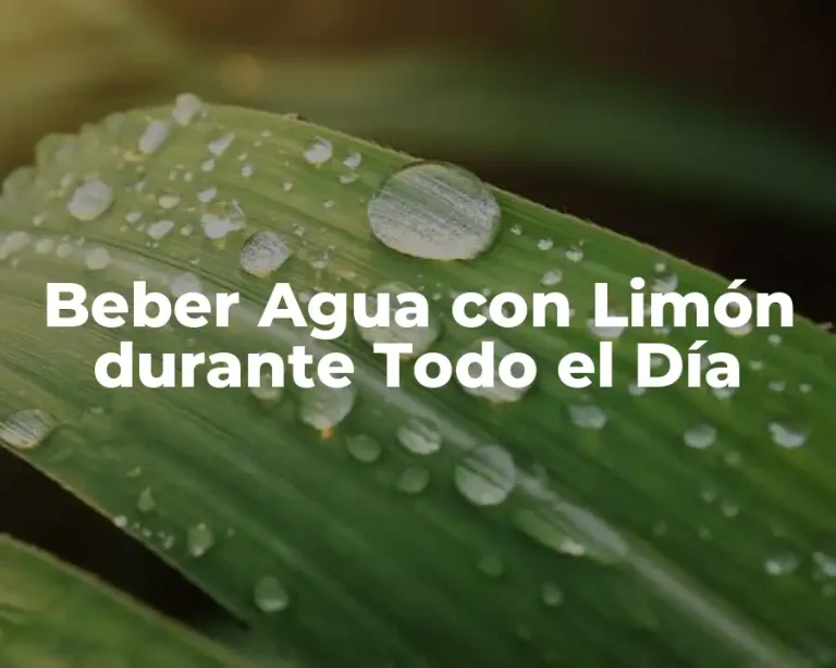 Beber Agua con Limón durante Todo el Día