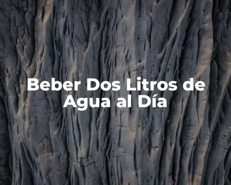 Beber Dos Litros de Agua al Día