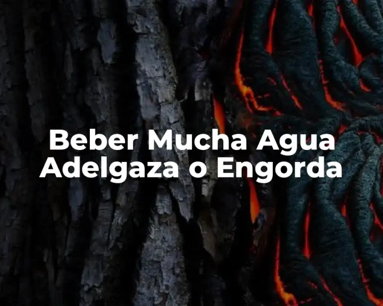 Beber Mucha Agua Adelgaza o Engorda