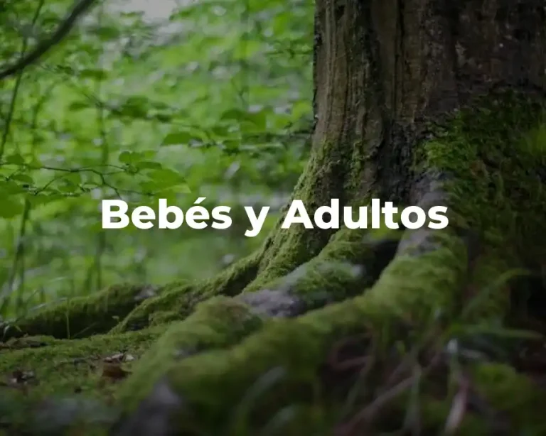 Bebés y Adultos