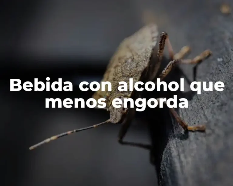 Bebida con alcohol que menos engorda