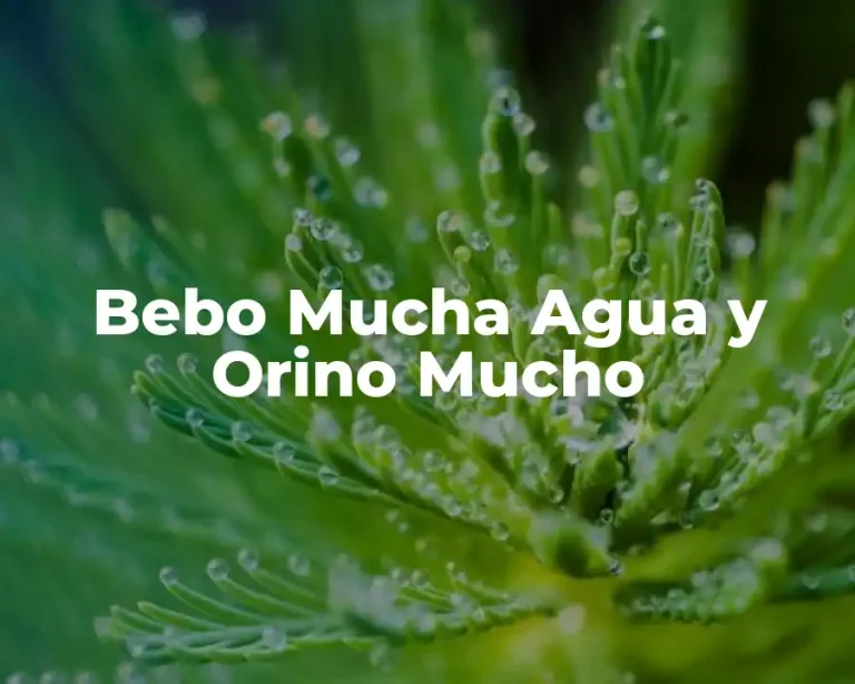 Bebo Mucha Agua y Orino Mucho