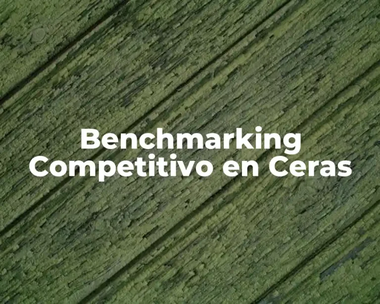 Benchmarking Competitivo en Ceras