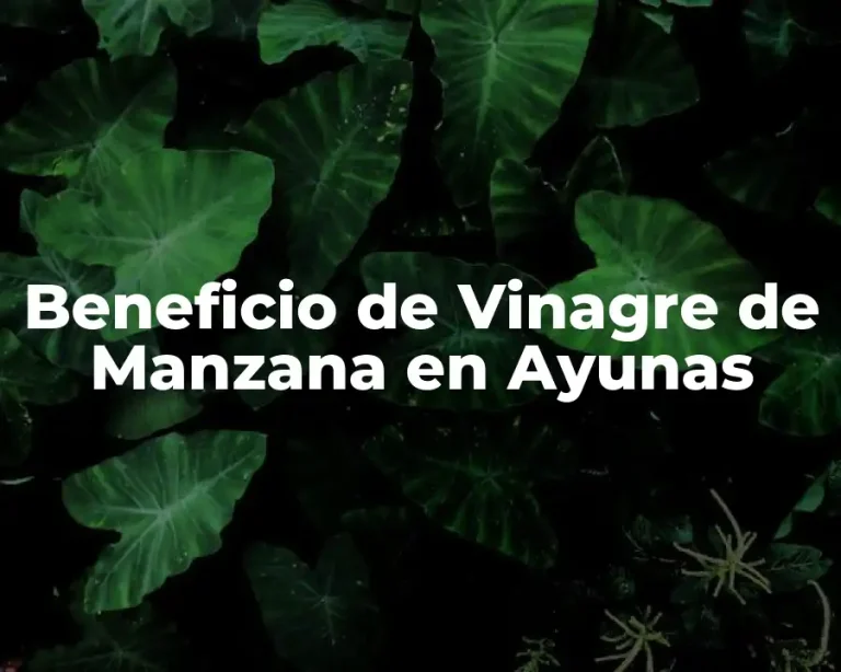 Beneficio de Vinagre de Manzana en Ayunas
