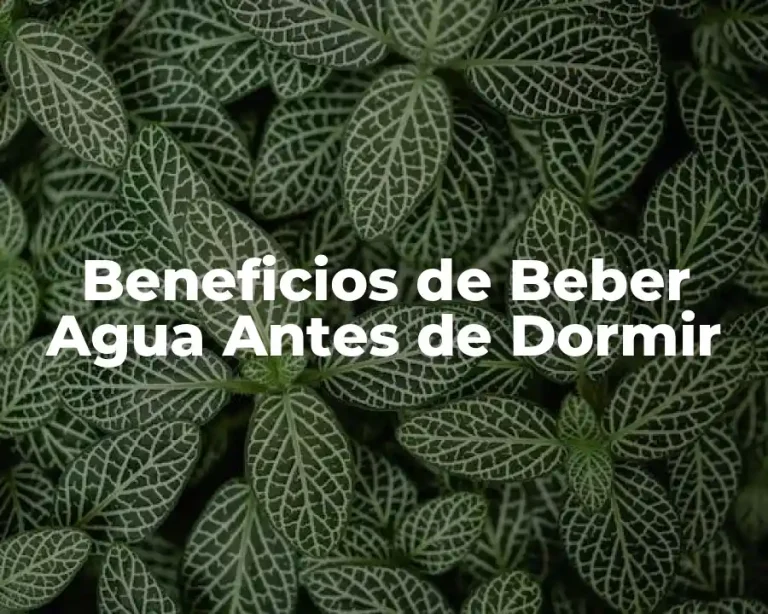 Beneficios de Beber Agua Antes de Dormir
