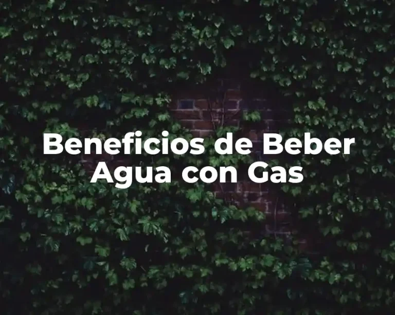 Beneficios de Beber Agua con Gas