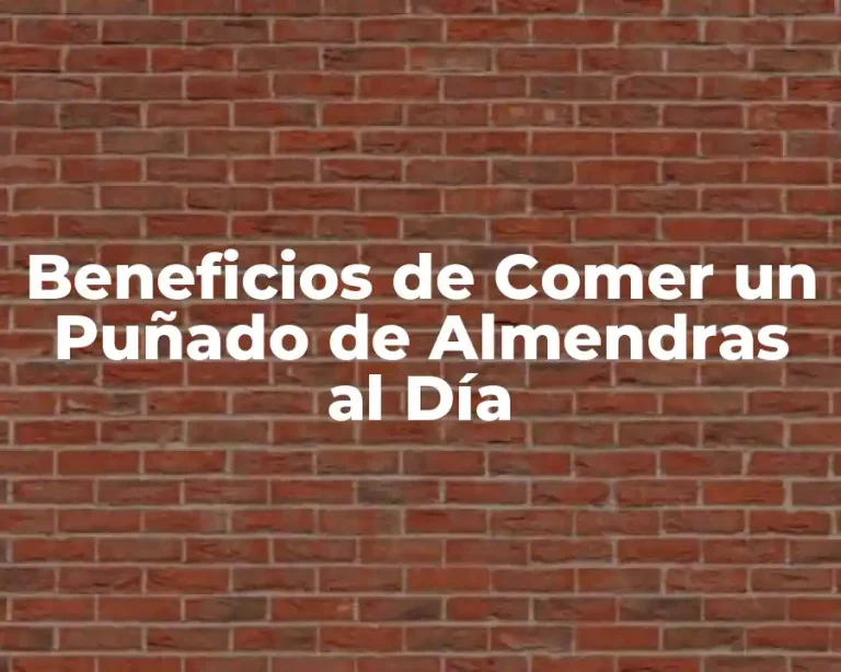 Beneficios de Comer un Puñado de Almendras al Día