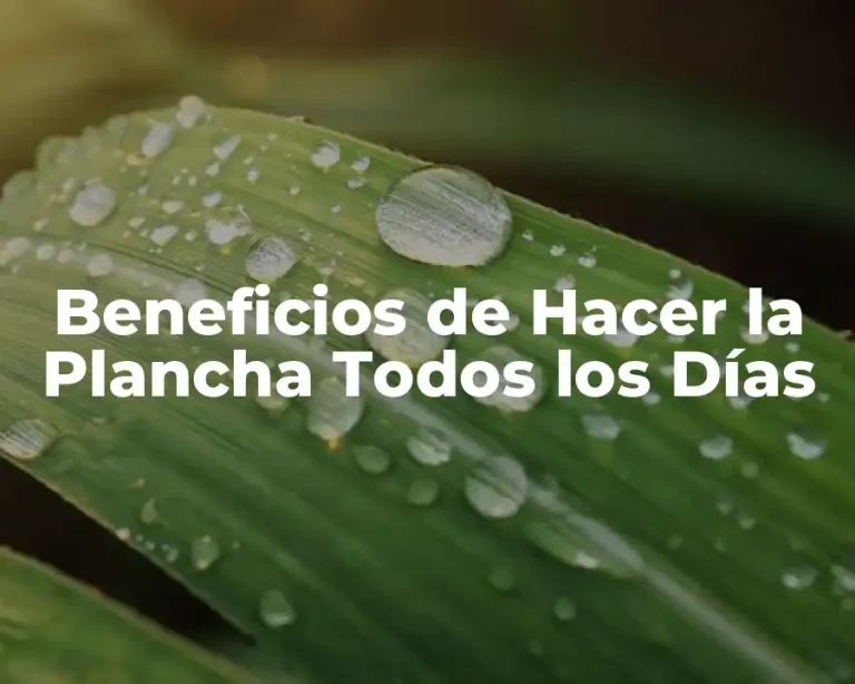 Beneficios de Hacer la Plancha Todos los Días