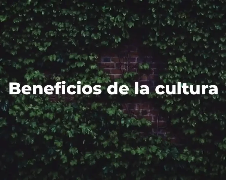 Beneficios de la cultura