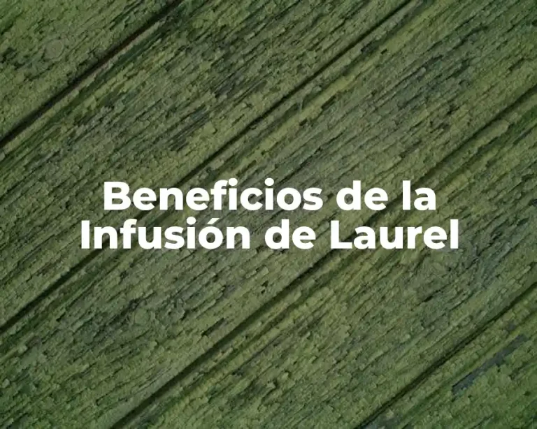 Beneficios de la Infusión de Laurel