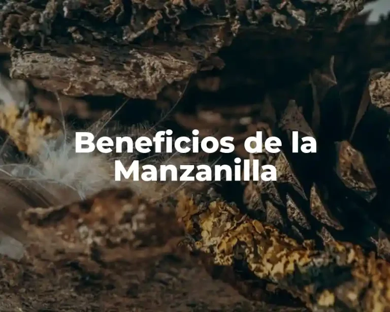 Beneficios de la Manzanilla