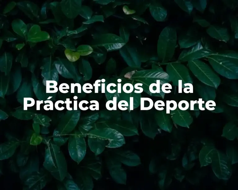 Beneficios de la Práctica del Deporte