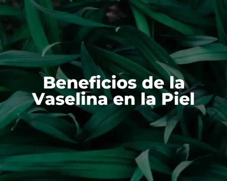 Beneficios de la Vaselina en la Piel