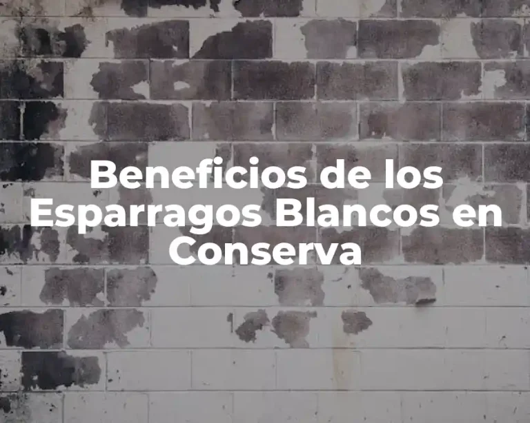 Beneficios de los Esparragos Blancos en Conserva