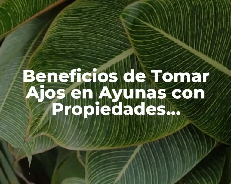 Beneficios de Tomar Ajos en Ayunas con Propiedades Medicinales