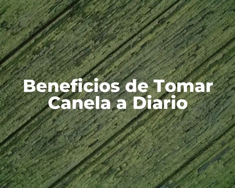Beneficios de Tomar Canela a Diario